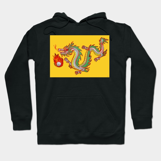 A Dragon and the Fiery Pearl of Wisdom Hoodie by laceylschmidt